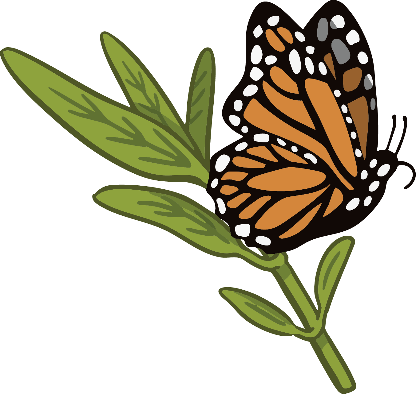 Milkweed & Monarch Magnet