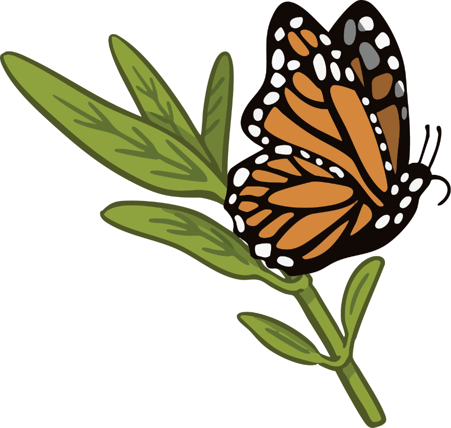 Milkweed & Monarch Sticker